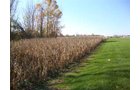 Property photo 2 - 24.8 Acre Absolute Real Estate Auction - Tillable Land with Pond and Woods